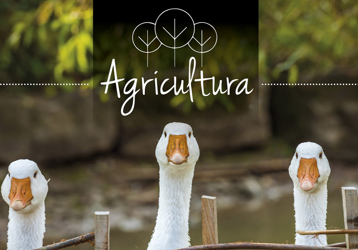 Schermafbeelding 2018-06-29 om 08.10.41