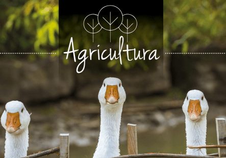 Schermafbeelding 2018-06-29 om 08.10.41